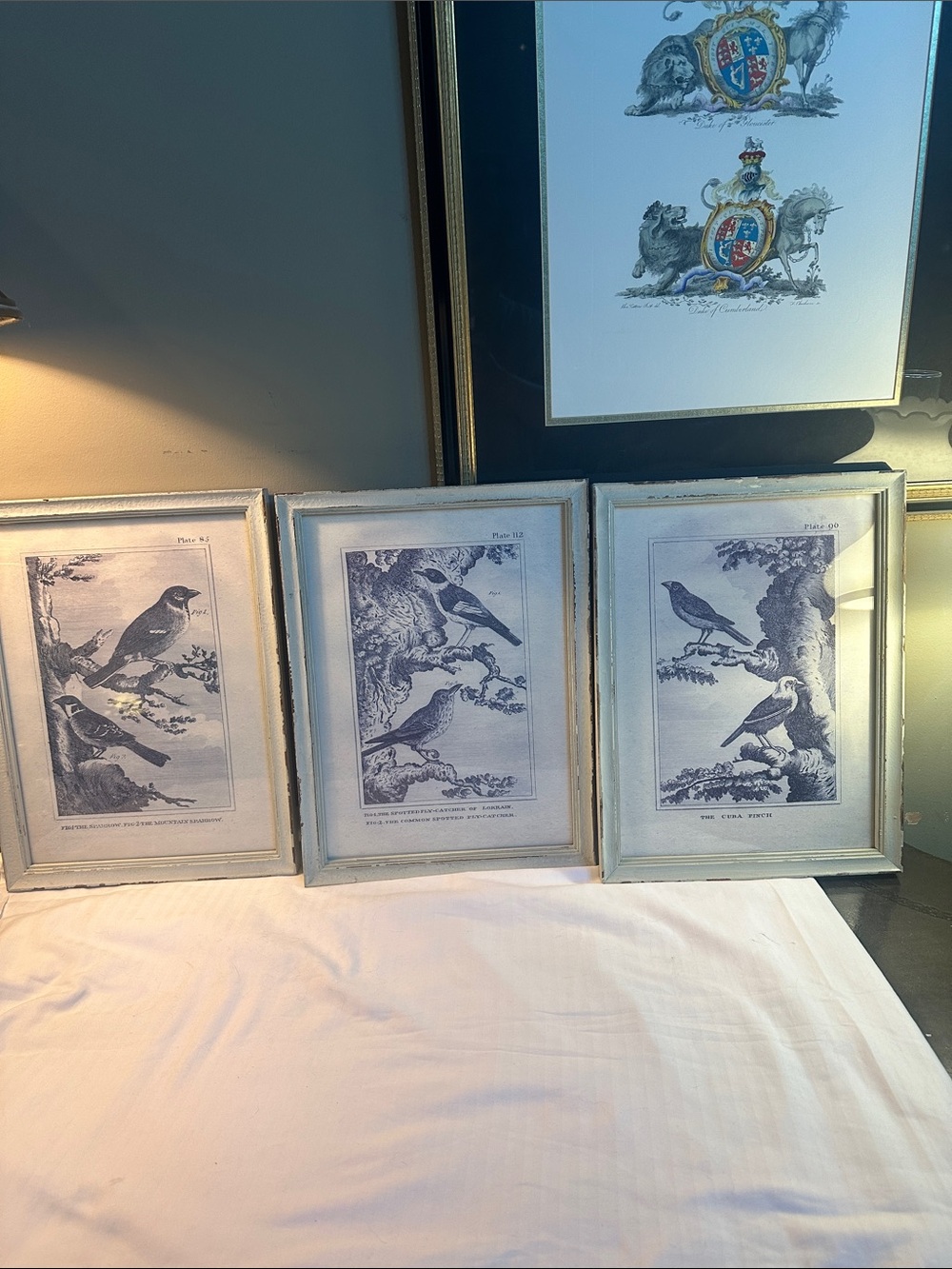 Vintage Style Blue Bird Wall Art Prints in Distressed White Frames